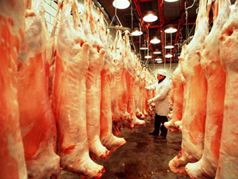 Европейская комиссия встала на защиту красного мяса